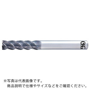 OSG dhU^Gh~ O` XNGA^Cv AE-VML 8556324 ( AE-VML 10X31 (8556324) ) I[GXW[() ( F6B29 )