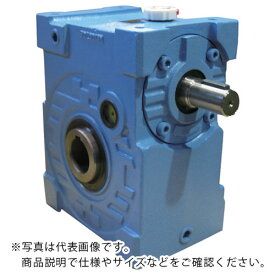 マキシンコー　一段ウォーム減速機　入力容量30．6kW　 MAO W 160 C 10 ( MAOW160C10 ) （株）マキシンコー 【メーカー取寄】