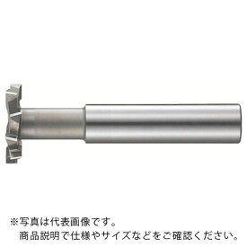 FKD　千鳥刃Tスロットカッター20×4．5　 STC-20X4.5 ( STC20X4.5 ) フクダ精工（株）