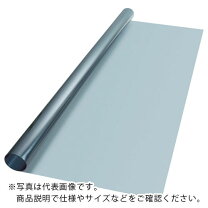 楽天市場】シルバー35 3mの通販