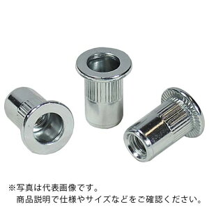 ySALEizGr [bgibg(EXeB[) 2.5 M4×0.7(1000) ( NSD4MR ) ()uebNX