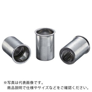 ySALEizGr uChibggGribgh(EXeB[) 2.5 M10×1.5(500) ( NSK1025M ) ()uebNX