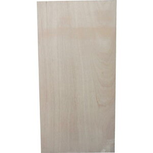 �g�� JAS �R���p�l �R���N���[�g�^�g����12×900×1800 ( KONPANE ) (��)�g��