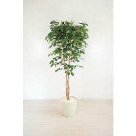 グリーンクロス　人工樹木／人工観葉植物　ベンジャミン　 ( 6300028763 ) （株）グリーンクロス