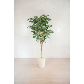 グリーンクロス　人工樹木／人工観葉植物　バーチ　 ( 6300028789 ) （株）グリーンクロス