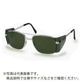 YAMAMOTO　二眼型遮光めがね　レンズ色グリーン YM-2#5 ( YM25 ) 山本光学（株）