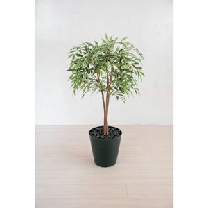 O[NX lH/lHϗtA VJV ( 6300028760 ) ()O[NX y[J[z