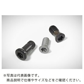 Walter ヘッド付きスクリュー ( FS946 ) ワルタージャパン(株) 【メーカー取寄】