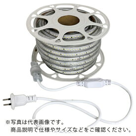 富士倉 両面発光LEDロープライト 20M 白色 ( FRL-W20M-W )