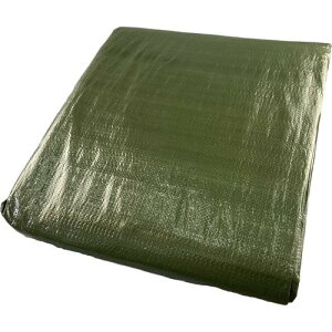 ^JCN #3000 ODO[V[g 5.4mx5.4m ( OGS-13 ) ()^JCN