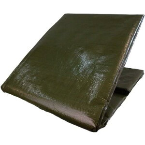 ^JCN #4000 ODO[V[g 2.7m×3.6m ( OGS-405 ) ()^JCN