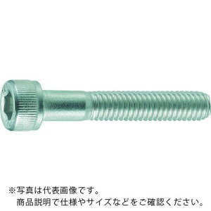 TRUSCO Zpt{g XeX lW M12×60 3{ /Lbv{g(CAP) ( B44-1260 ) gXRR()