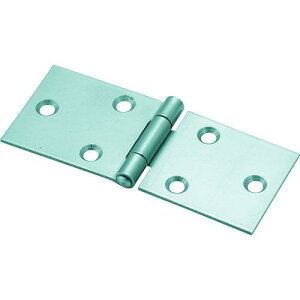 TRUSCO スチール製横長蝶番 生地仕上げ 全長32mm (4個入) ( 415-32N (ビスナシ 4コイリ) ) トラスコ中山(株)