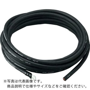 TRUSCO ( �g���X�R���R ) �n�ڋ@�p�P-�u�� 2���� 20m ( TWC-2220 (22MM2X20M) )