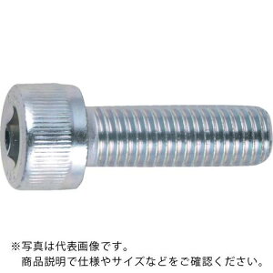 TRUSCO Zpt{g O SlW M10×30 6{ /Lbv{g(CAP) ( B730-1030 ) gXRR()