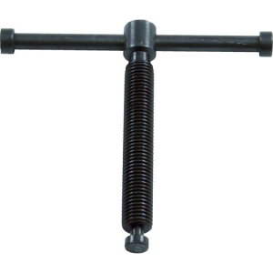 TRUSCO pCvoCX TPV-2pVtg ( TPV-2SF ) gXRR()