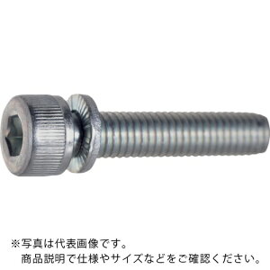 TRUSCO ( �g���X�R���R ) ���ݎ~�ߋ@�\�t�Z�p���t�{���g �O���N�����[�g M5X20L 1�{ /�L���b�v�{���g(CAP) ( WVL-0520TC )