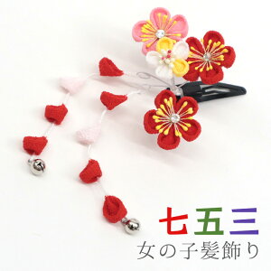 ܎O  ql ܂ݍ׍H pb` X[s wAANZT[ ~  bh sN  zCg g