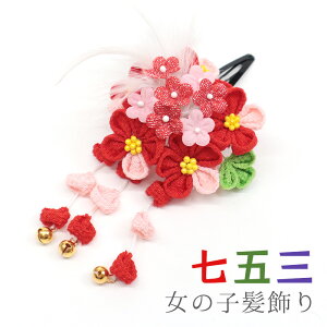 ܎O  ql ܂ݍ׍H pb` X[s wAANZT[ ~  bh sN Ԃ̂炢 H