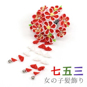 ܎O  ql ܂ݍ׍H pb` X[s wAANZT[ Ԃ̃u[P  bh sN  zCg g