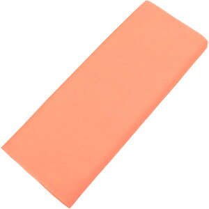 VXiVюzj n[tJbg J[  n n zn 100 { A rPXiJ[j10.5mk20FlyHGz