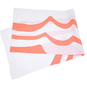 їg   p a t JWA 100 Oタ߂ яグ 낤 􉽊w͗liS6Fjy[OKz