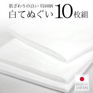 10Zbg  n ʂ @ 100cm×37cm { NnTV N nĂʂi10gjyHGz