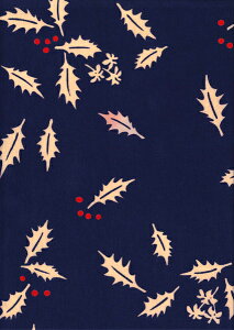 ʂ ߁uAiЂ炬jF 13-893vs˓cXtNX}X^~^12^A^@^Ăʂy[OKzyTDz