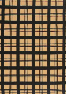 ʂ ߁uٌciqiׂ񂯂j 914vs˓cXtF^`FbN^ÓT^̕^i^@^Ăʂy[OKzyTDz