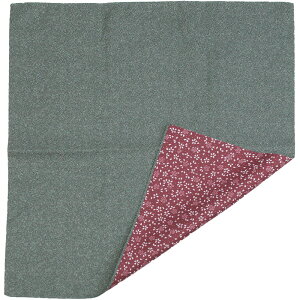 C~ 70cm L  o[Vusނt |GXe  70o[Vu L×ӂ낵i70cmjy[OKzyITz