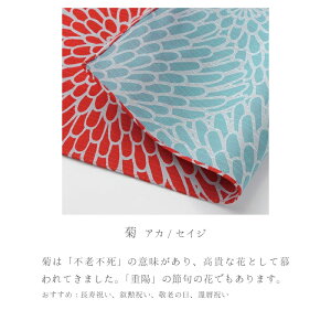 C~ 唻 104cm ÓT ނsɍlt100 OЂӂ낵 ɍl  o[Vu唻C~i104cmjy[OKzyITz