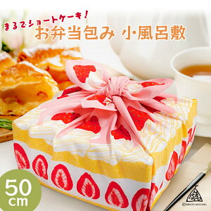 ނ䕂ՂV[gP[LɕϐgsASAYAMA MISATO Rt100 C~ V[gP[Li50cmjy[OKzyITz