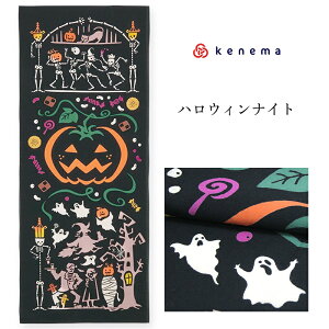 ʂ nEBunEBiCg 50127vskenema ˂܁t^ubN^΂^tPV^C^^َq^J{`^@^Ăʂy[OKzyMYz