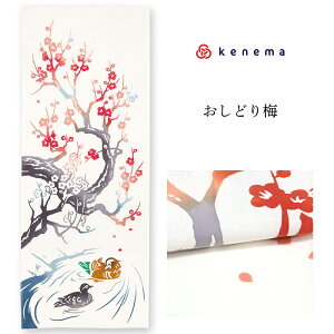 ʂ ~̉ԕށuǂ~ 50129vskenema ˂܁t^AC{[^~^^^@^Ăʂy[OKzyMYz