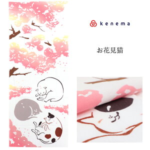 注染 手ぬぐい 【kenema】さくら「お花見猫 50138」《kenema けねま》白地/ホワイト/ネコ/三毛猫/白猫/桜/春/手拭い/てぬぐい【メール便OK】【MY】