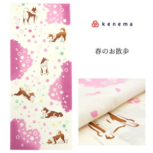  ʂ ykenemazut̂U 50204vskenema ˂܁t^x[W^Č^ʁ^ā^^Ԍ^@^Ăʂy[OKzyMYz