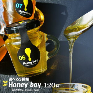 ݂͂ Y M g I qVY Honeyboy ͑{I SԖ Mtg 퉷ۑ Ysgp MZk VR100 NKl` Eu kf JXUVE `mL  ACh