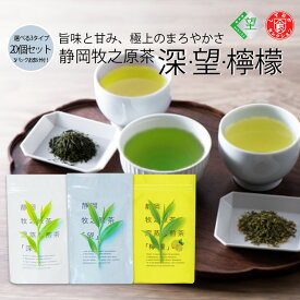 静岡牧之原茶 ティーバッグ 望 深 檸檬 5g×12P×20 3つプレゼント お茶 緑茶 牧之原茶 深蒸し茶 深むし茶 緑茶 水出し 大容量 お徳用 飲み比べ 選べる 静岡茶 日本茶 静岡県産 ブランド茶 煎茶 茶葉 業務用 家庭用 取り寄せ ギフト 送料無料