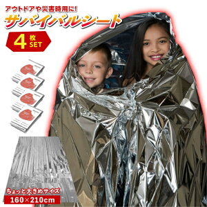 A~V[g 4Zbg A~uPbg ToCoV[g 傫TCY 傫 h G}[WFV[V[g hЃbN ۉ h hЃZbg hЃObY ً} p EMERGENCY SHEET 