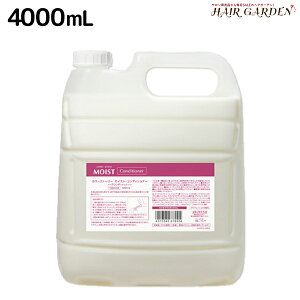 A~m J[Xg[[ CXg RfBVi[ 4000mL / yz lߑւ Ɩp 4L e Tꔄi eꔄ ߕi