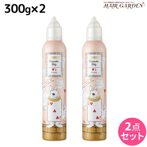 f~ EF[{ WJ[ LCNzCbv3 300g ×2 Zbg / yz Tꔄi e@ wAPA X^CO [X demi f~ e ߕi