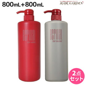 【4/1限定ポイント3倍】デミ エクリナール スキャルプシャンプー 800mL + スキャルプコンディショナー 800mL セット / 【送料無料】 サロン専売品 美容院 ヘアケア demi 頭皮ケア フケ かゆみ ふけかゆみ 防止 予防 保湿 デミ 美容室 おすすめ品