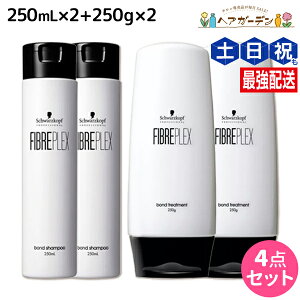 y|Cg3-10{!320zVcRt t@Co[vbNX {h Vv[ 250mL ×2 + g[gg 250g ×2 Zbg / yz e Tꔄi e@ wAPA w