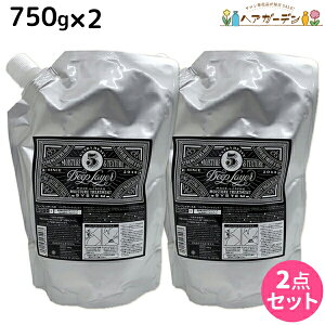 y|Cg3-10{!320zgx[l fB[vC[ 5 750g lߑւ ×2 Zbg / yz DeepLayer r[eB[GNXyGX e Tꔄi e@ wAPA _