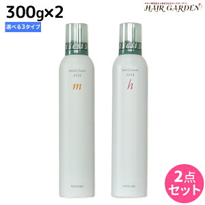 y11/1|Cg3{zsAZ{ ZV[ X^COtH[ 300g ×2{ sn[hECXgEX[Xt IׂZbg / yz X^CO  wAXv[ L[v