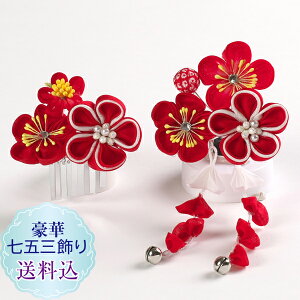 yz܎O O Δ~̉ԁ@Zbg܂ݍ׍H 2_Zbg X[s@ς񗯐