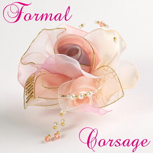  Ǝ TtH[} RT[W sNS[h@ԃp[ RT[W Te [Xi  p[eB[w @{ yyMt_IzyyMt_bZzV