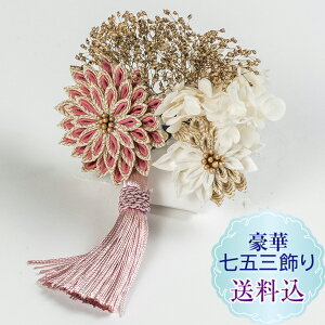 Vyzq܂ݍ׍H ܎O1_sNƃS[h e܂ݍ׍H X[s@ς ܂ݍ׍H