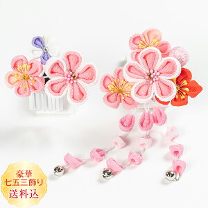 Vyzq ߂܂ݍ׍H ܎O2_sN̔~̉ ς