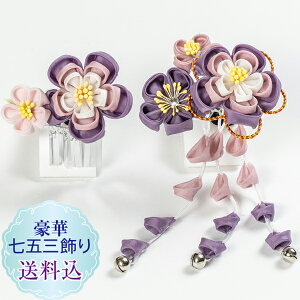 Vyz܎O Oΐ܂ݍ׍H2_Zbg p[v X[s@ς񗯃Of[V ~̉